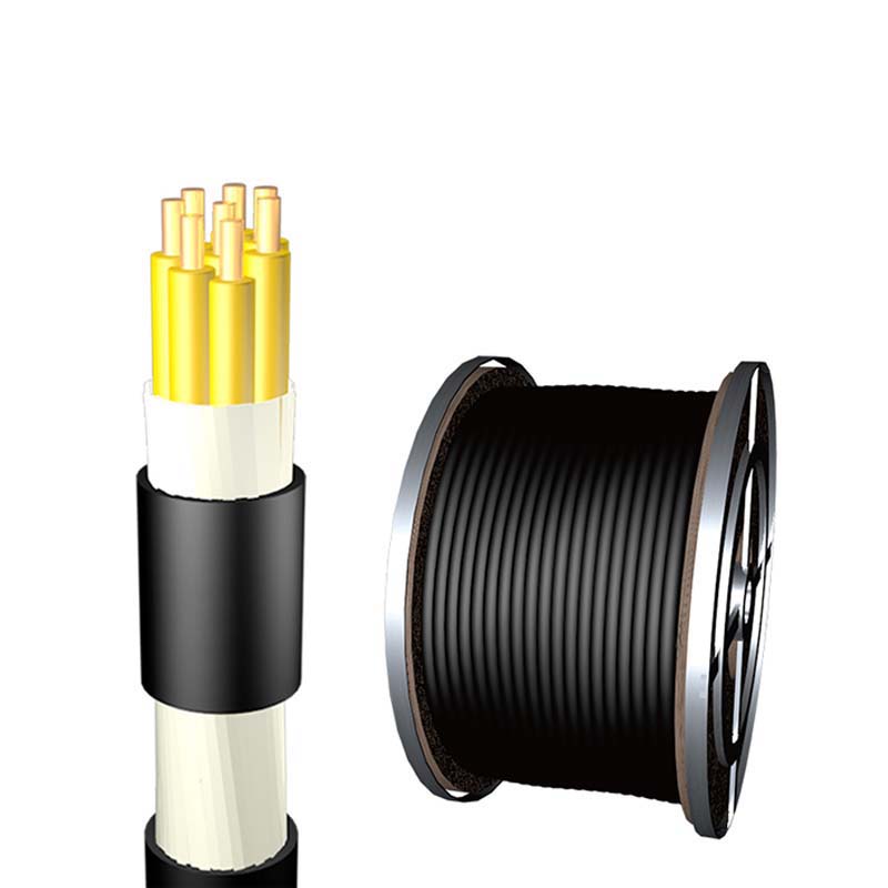 10芯  ZR-KVV  1.0-2.5mm?  阻燃铜芯聚氯乙烯绝缘聚乙烯护套电缆